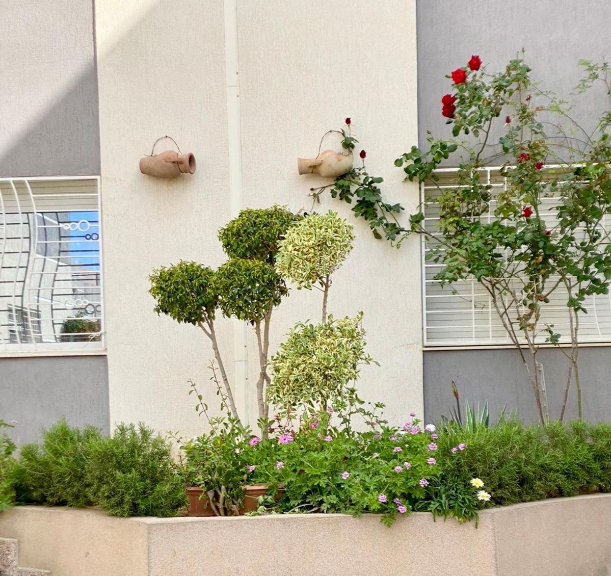 Casa Charm Falaise Monastir Exterior photo